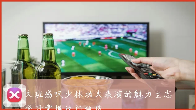 文班感叹少林功夫表演的魅力立志学习掌握这门绝技